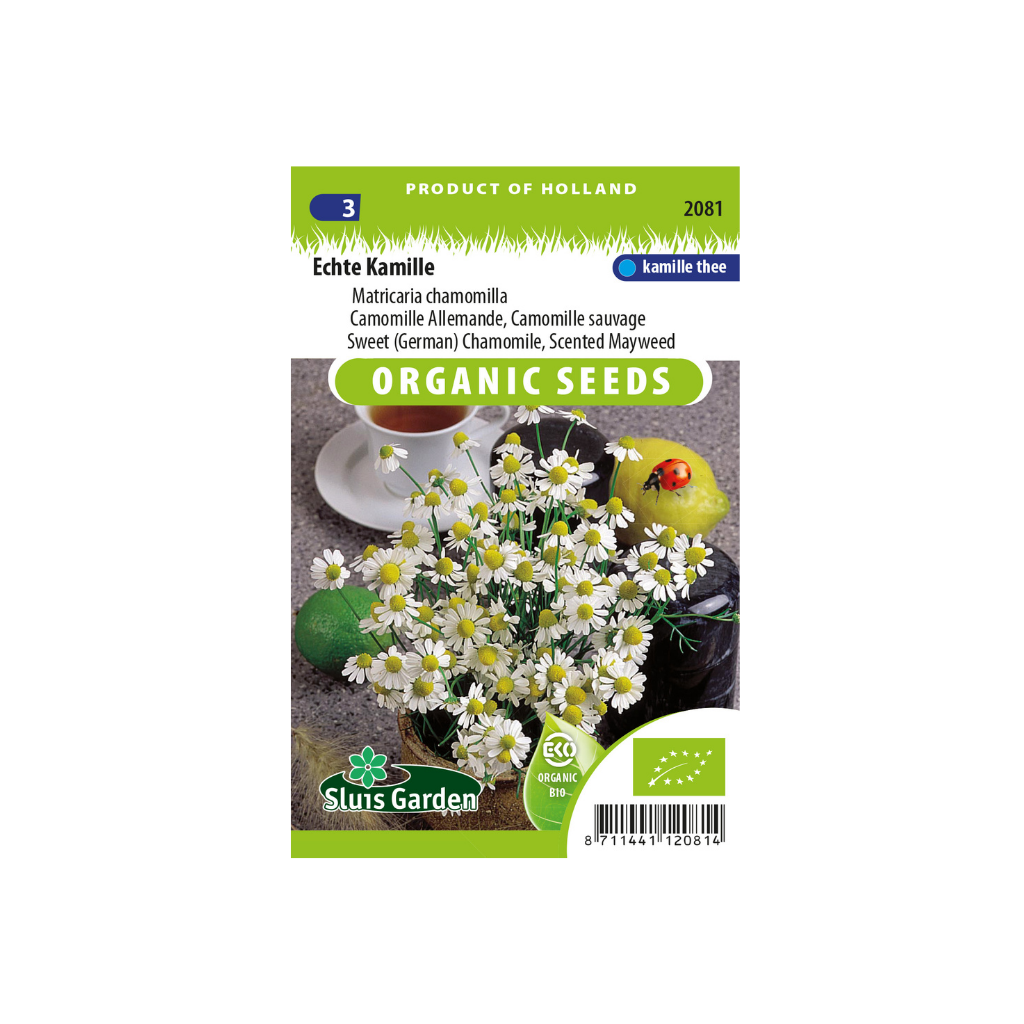 Kamille echte Matricaria recutita BIO