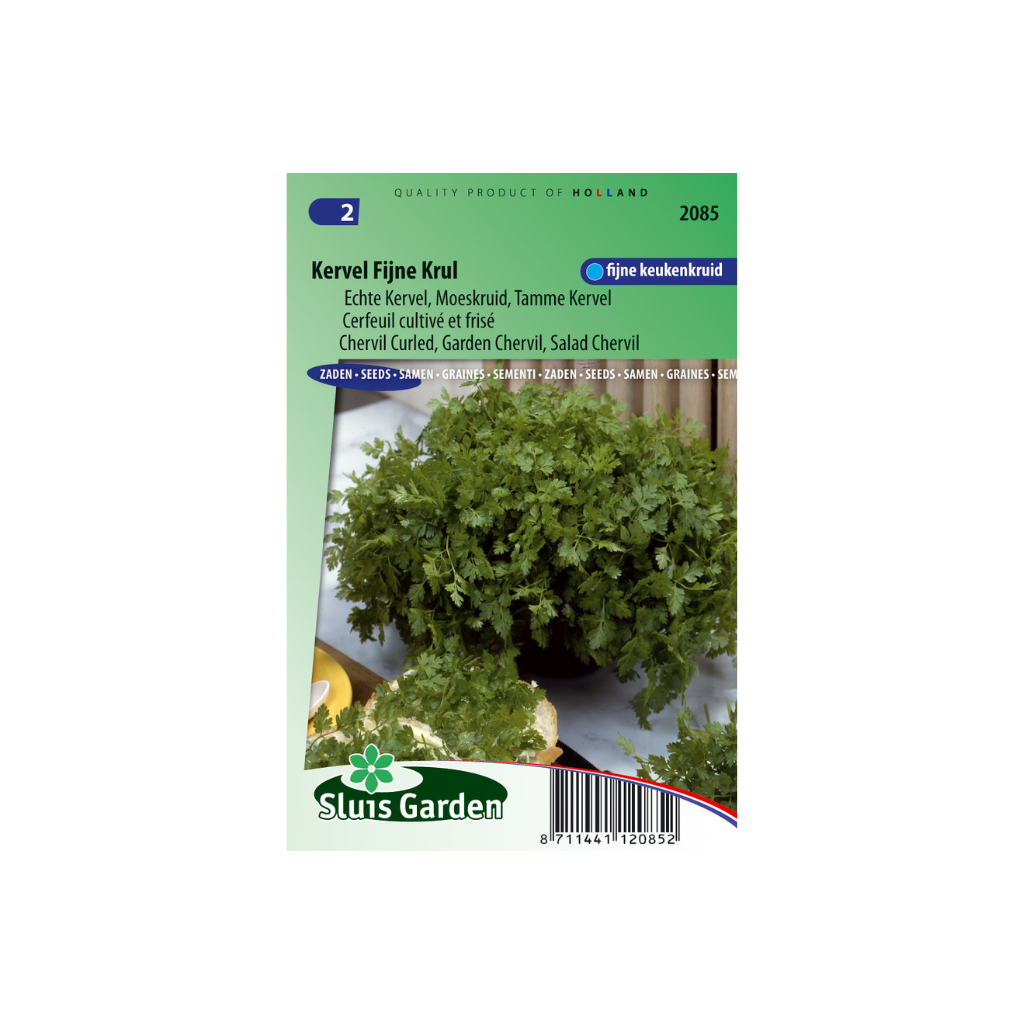 Kervel Fijne Krul Anthriscus cerefolium