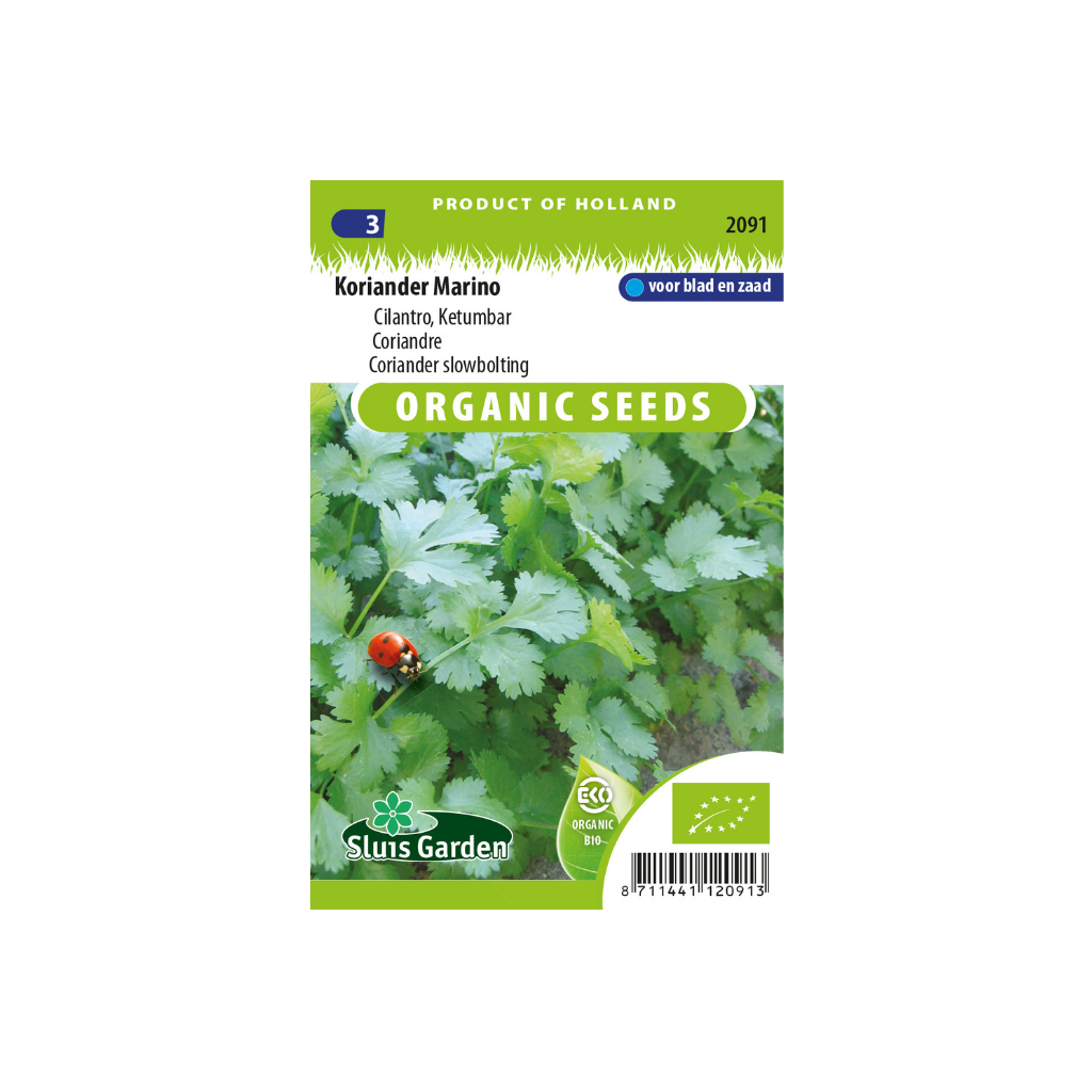 Koriander Marino BIO