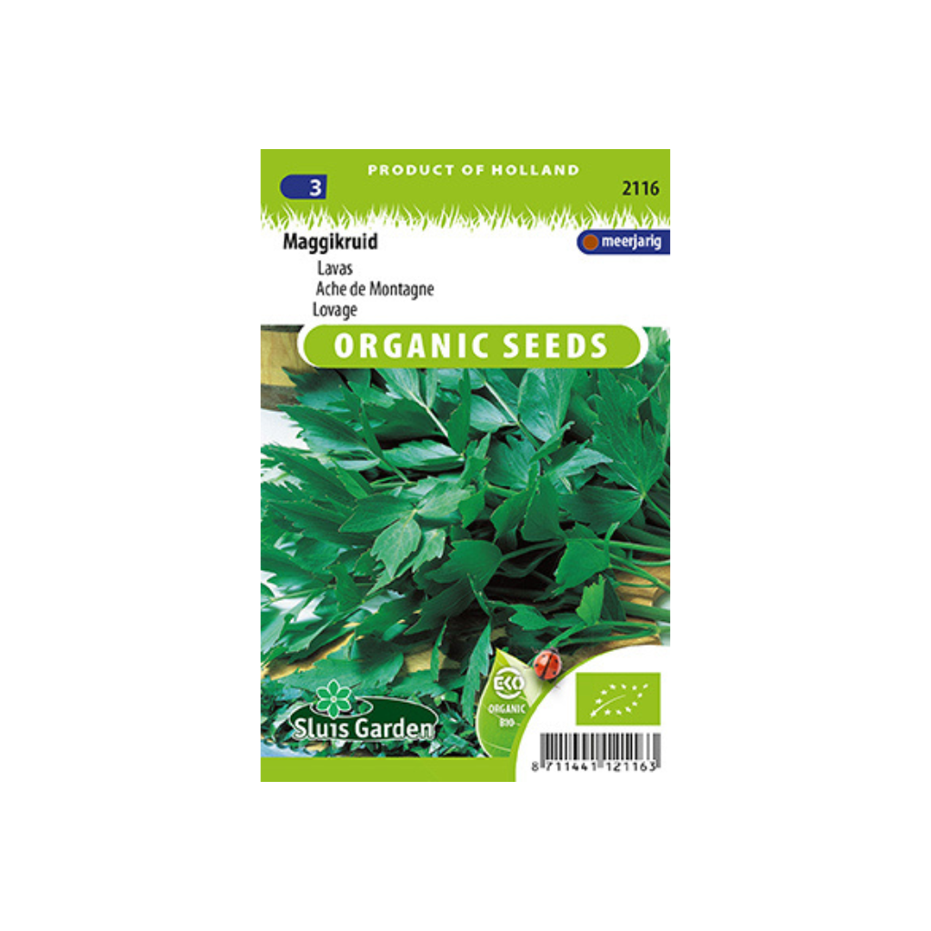 Maggikruid Levisticum officinalis BIO