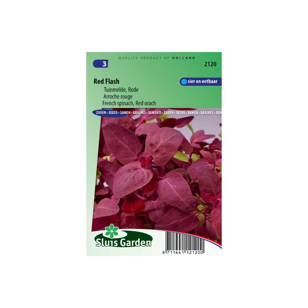 Melde Red Flash - Atriplex hort.
