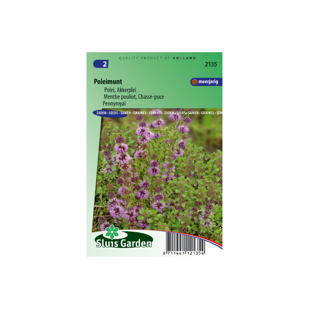 Poleimunt Mentha pulegium