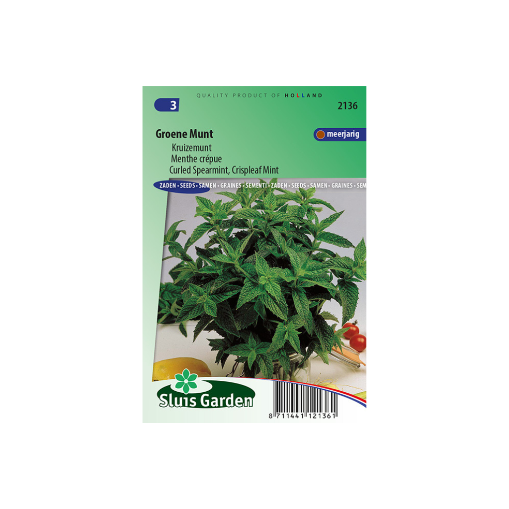 Groene Munt, Kruizemunt