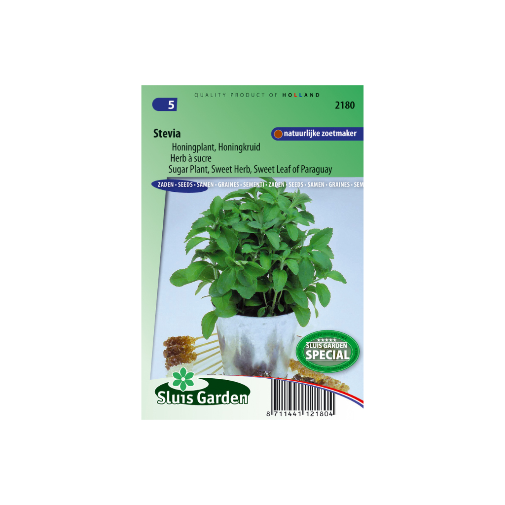 Stevia Rebaudiana Honingkruid