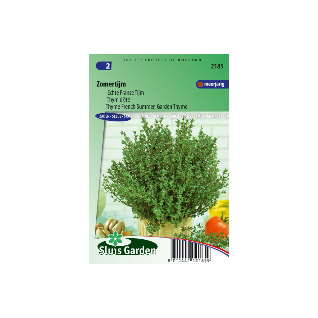 Thijm Zomer Thymus vulgaris