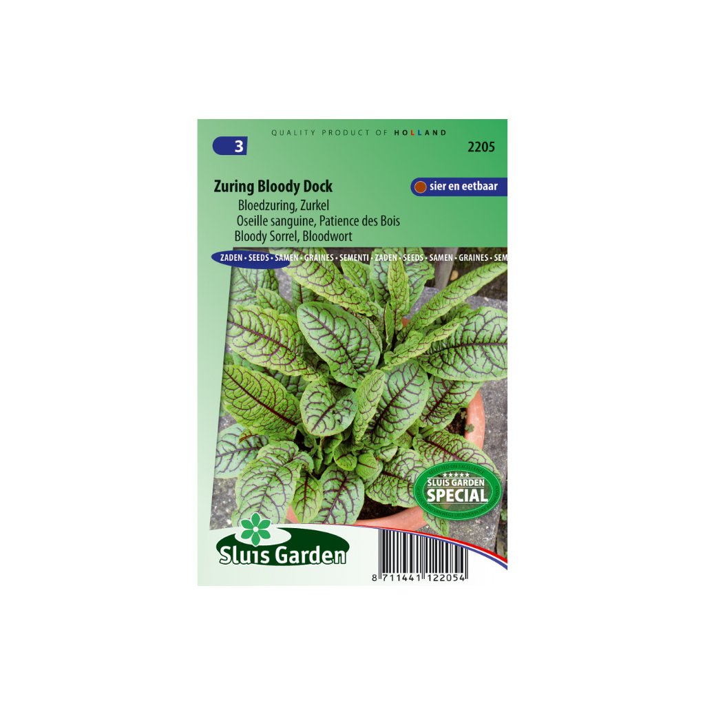 Bloedzuring Bloody Dock, Rumex sang.