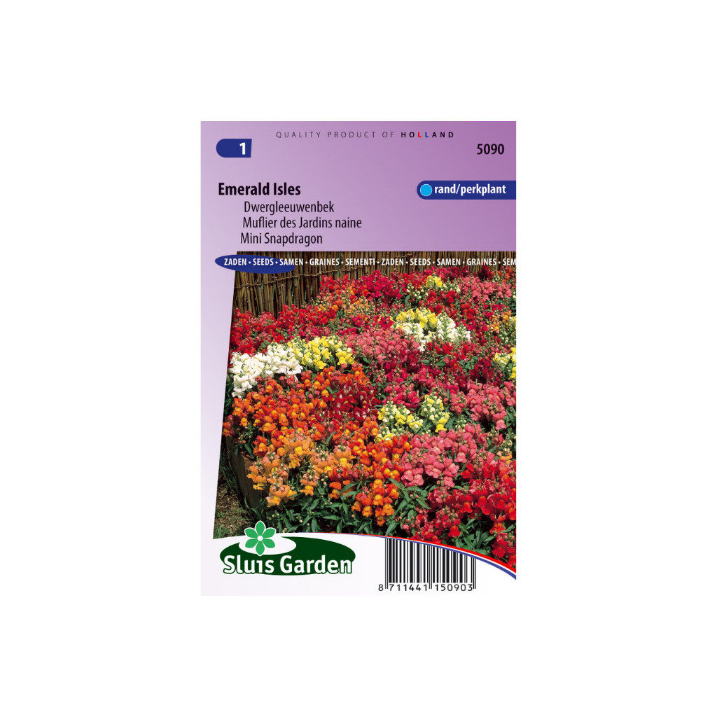 Antirrhinum m. pum. Emerald Isles Mix