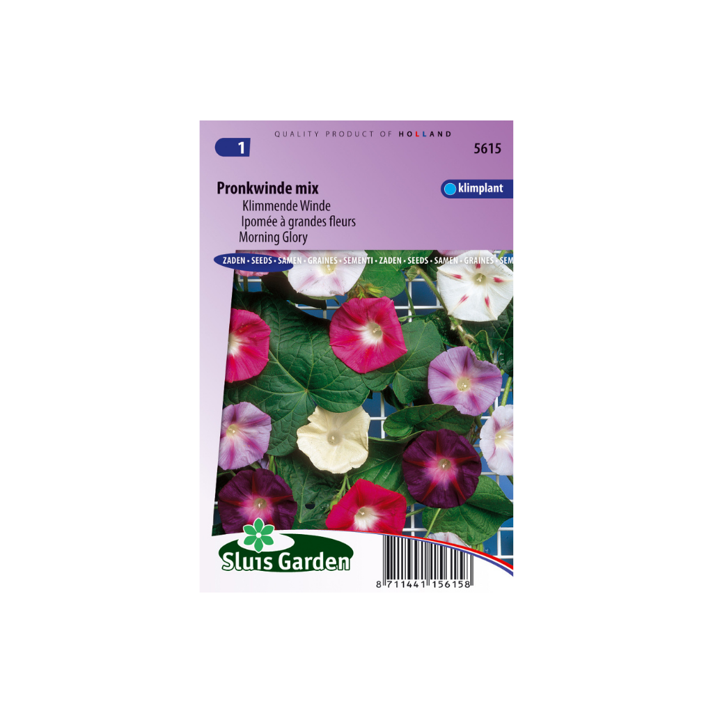 Ipomoea purpurea Choice Mixed