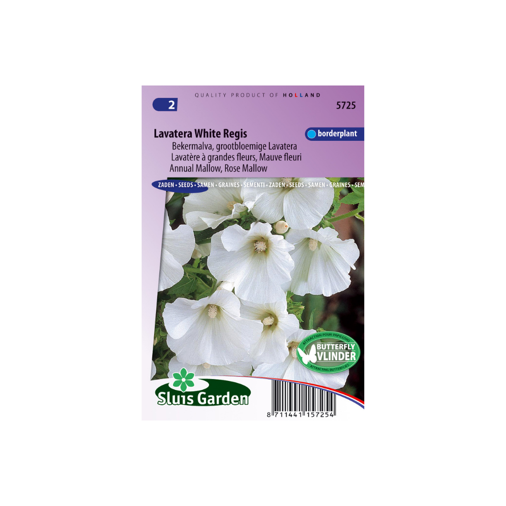 Lavatera trimestris White Regis