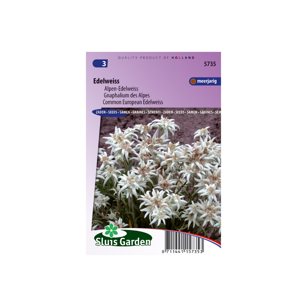 Leontopodium alpinum