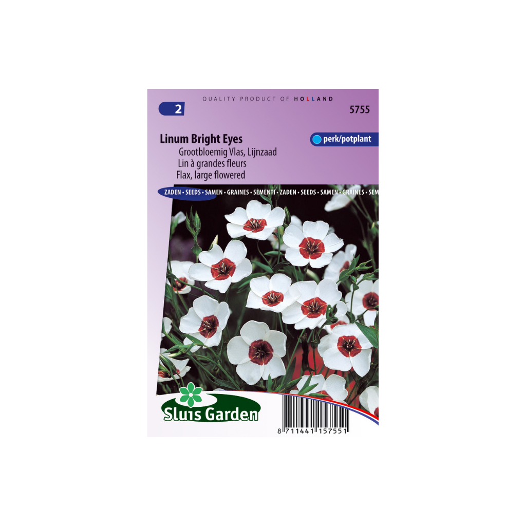 Linum grandiflorum Bright Eyes