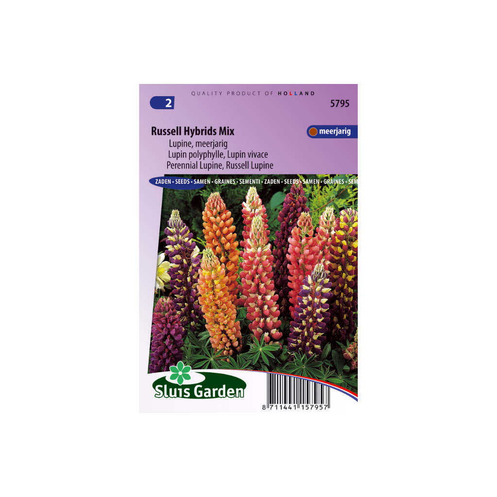 Lupinus polyphyllus Russell Strain Mix
