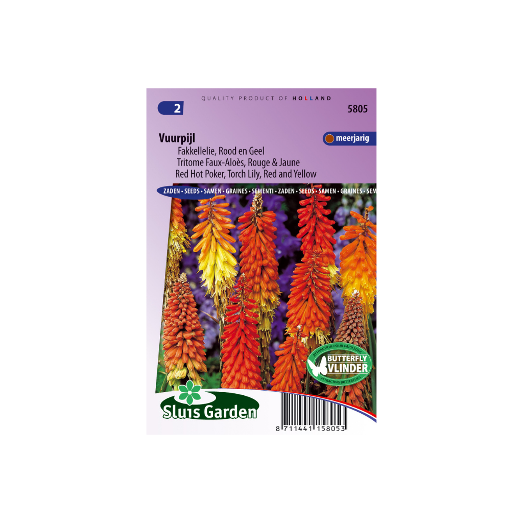 Kniphofia uvaria Royal Castle Hybrids