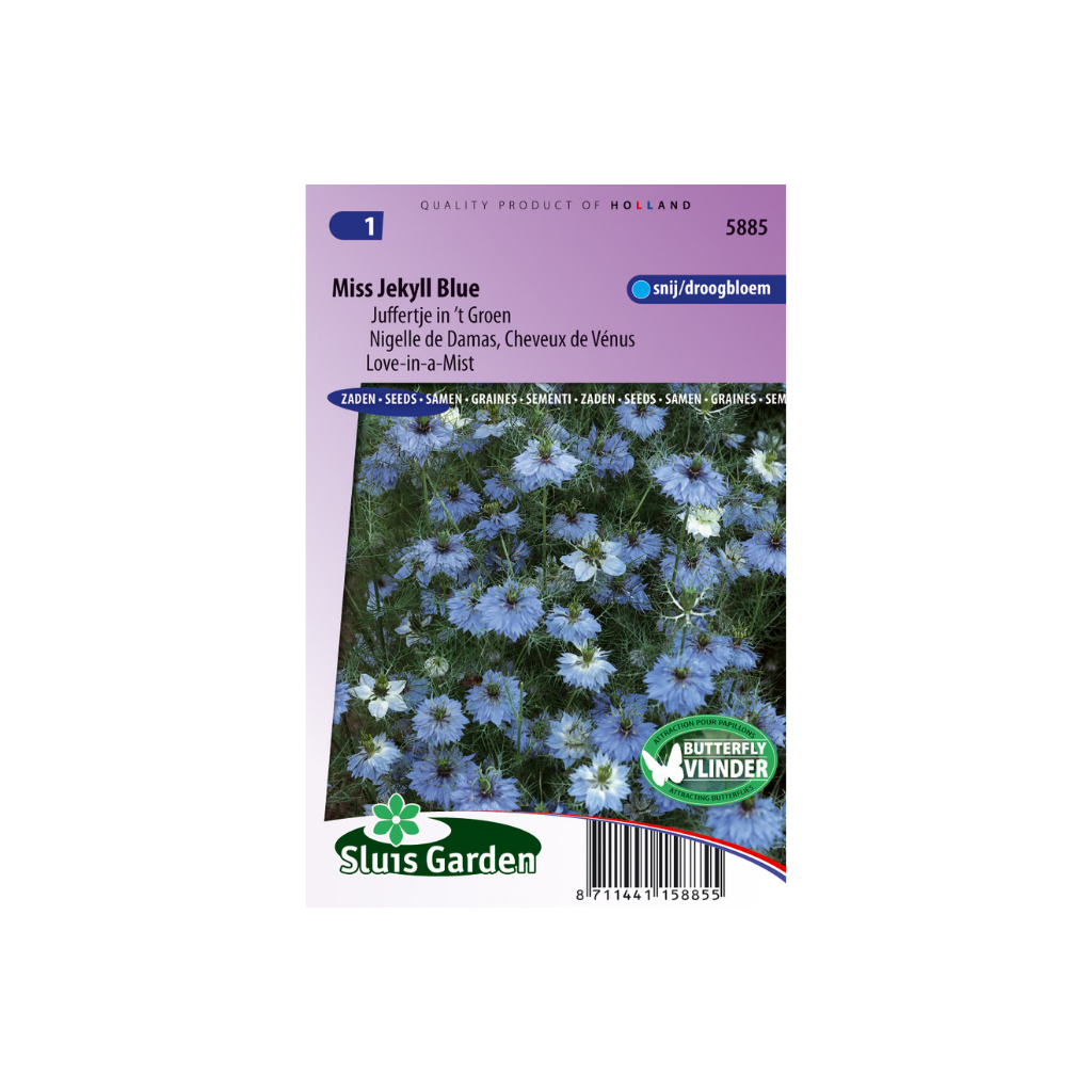 Nigella damascena Miss Jekyll Blue