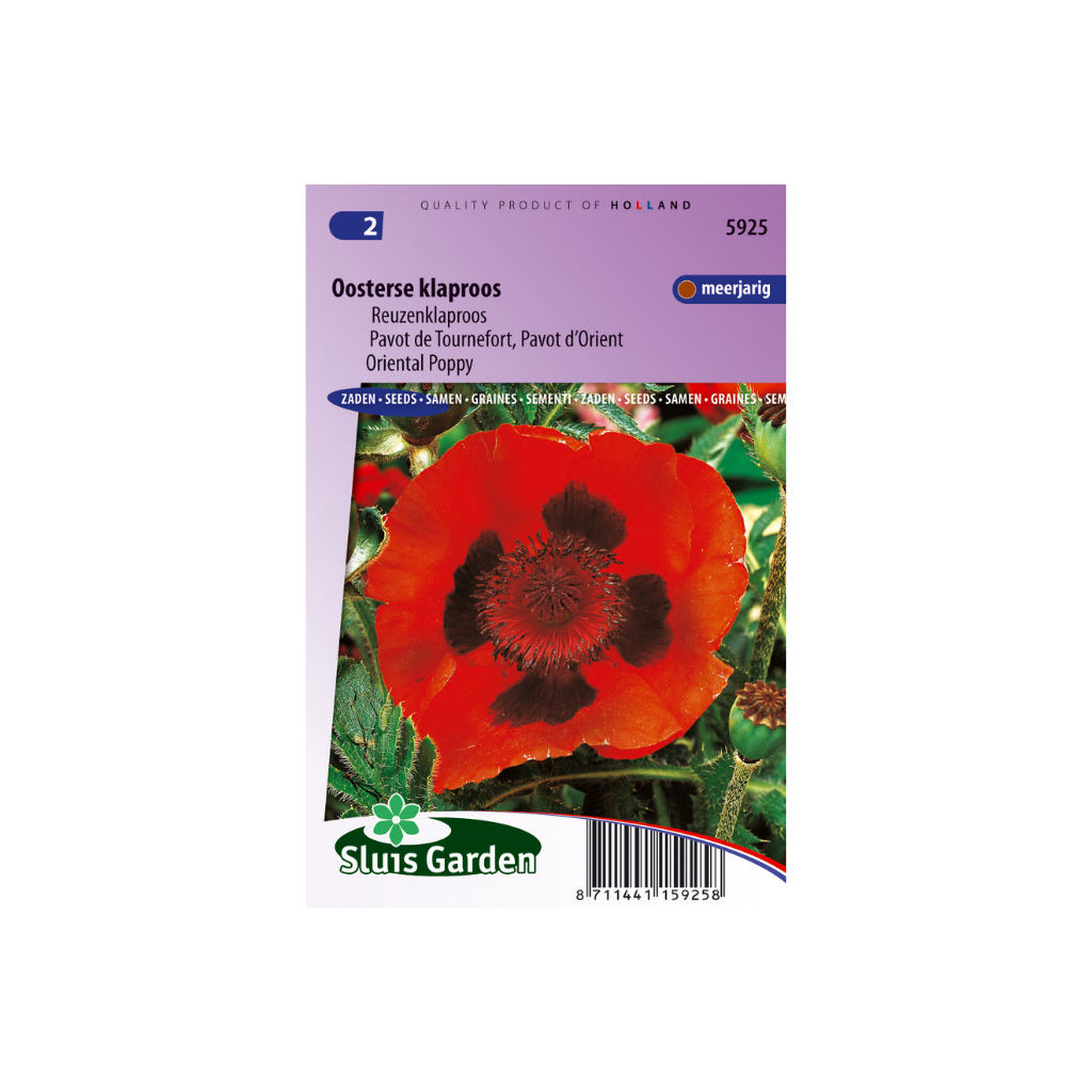Papaver orientale Scarlet Poppy