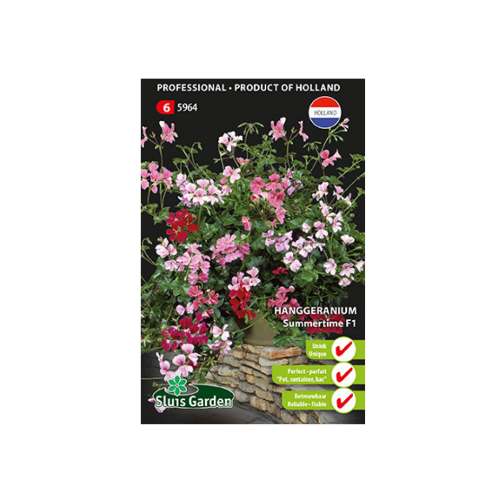 Pelargonium pelt. F1 Summertime mix