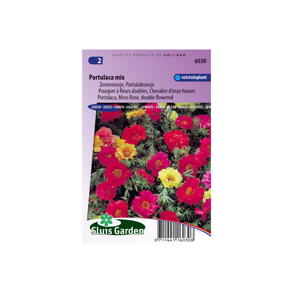Portulaca grandiflora Double Mix
