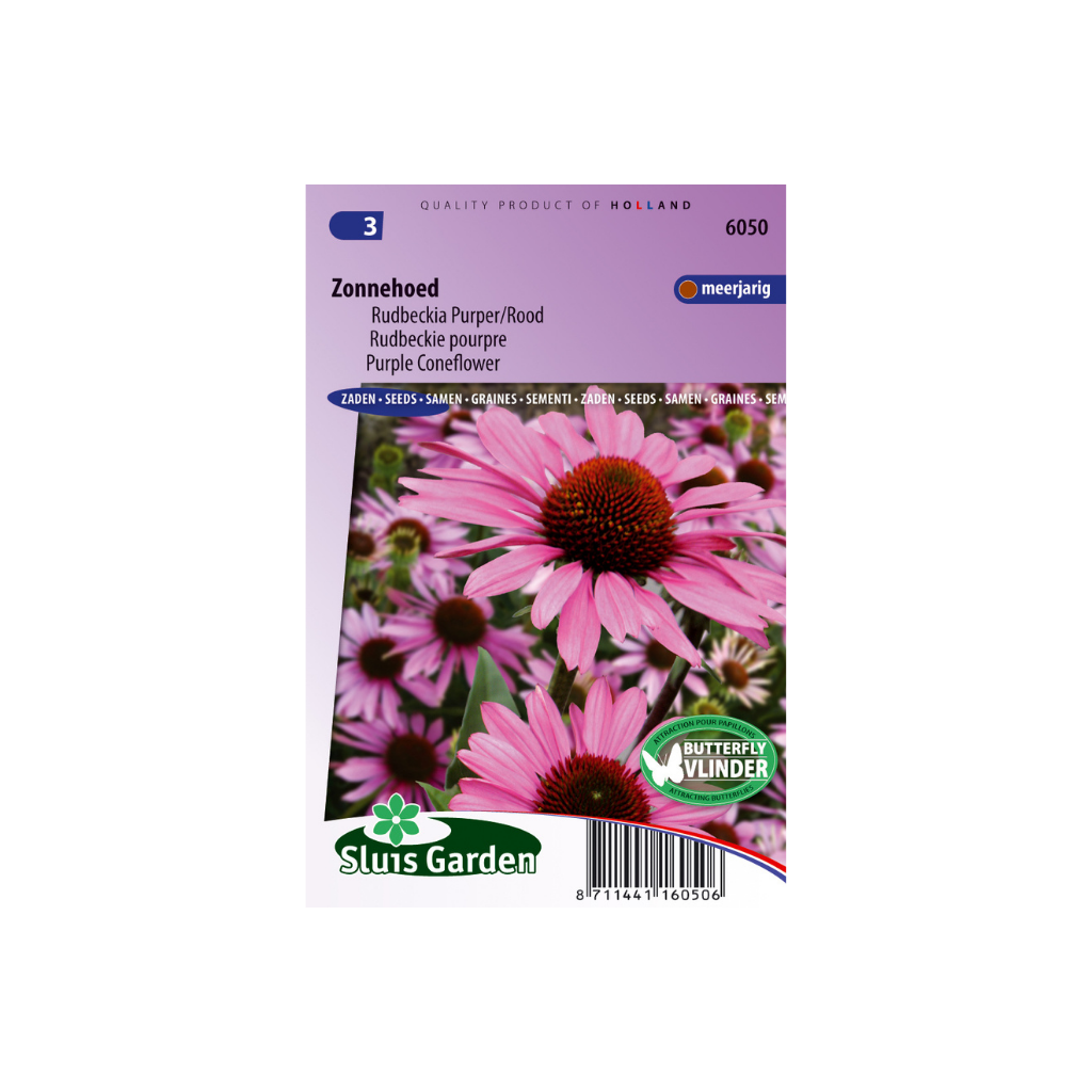 Rudbeckia purpurea (Echinacea)