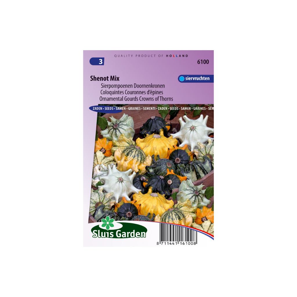 Cucurbita pepo Shenot Crown of Thorns