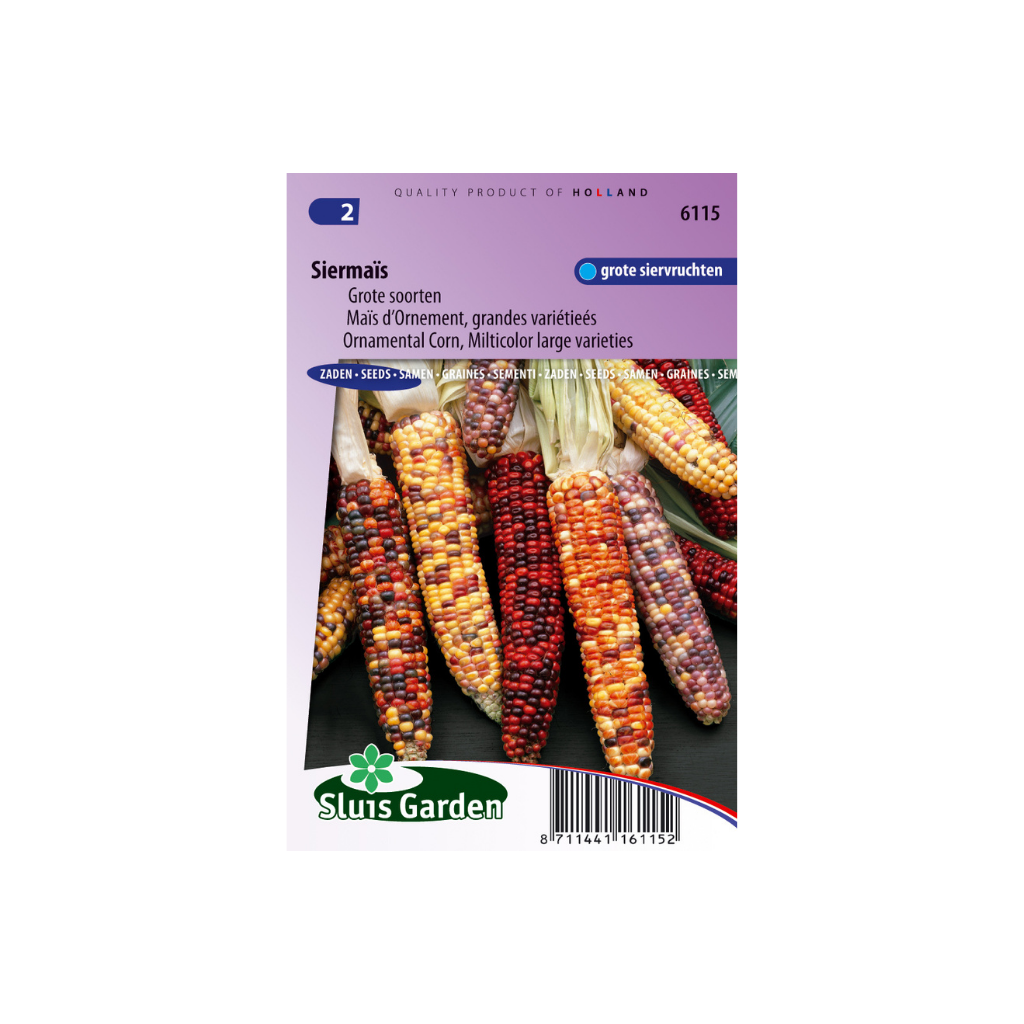 Zea japonica Multicolor Hybrids