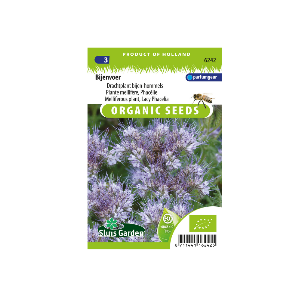 Bijenvoer Phacelia tanacet. BIO