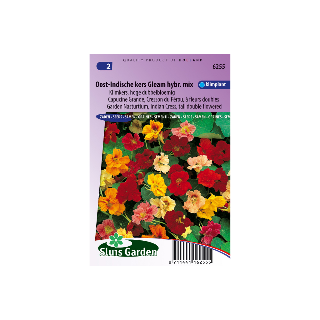 Tropaeolum Tall Double Gleam Hybrid