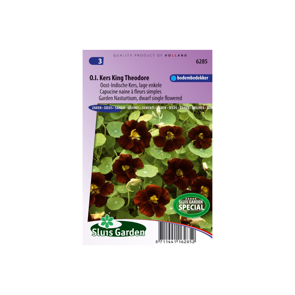 Tropaeolum m.n. King Theodore