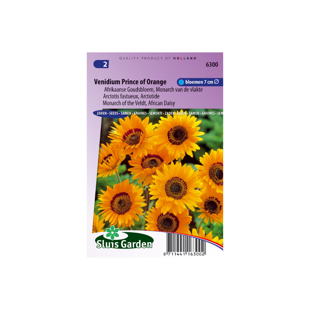 Venidium fastuosum Orange