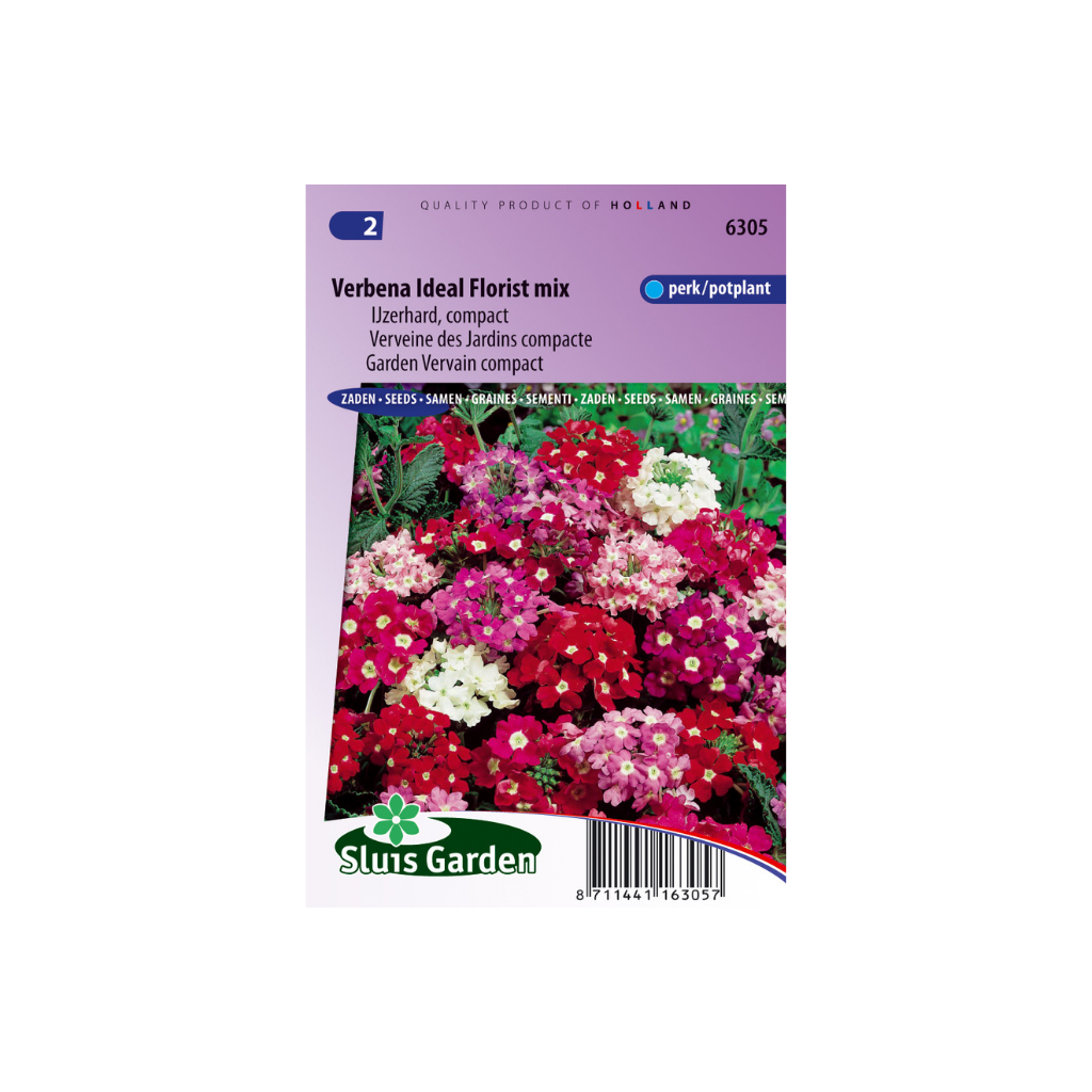 Verbena hybrida Ideal Florist mixed