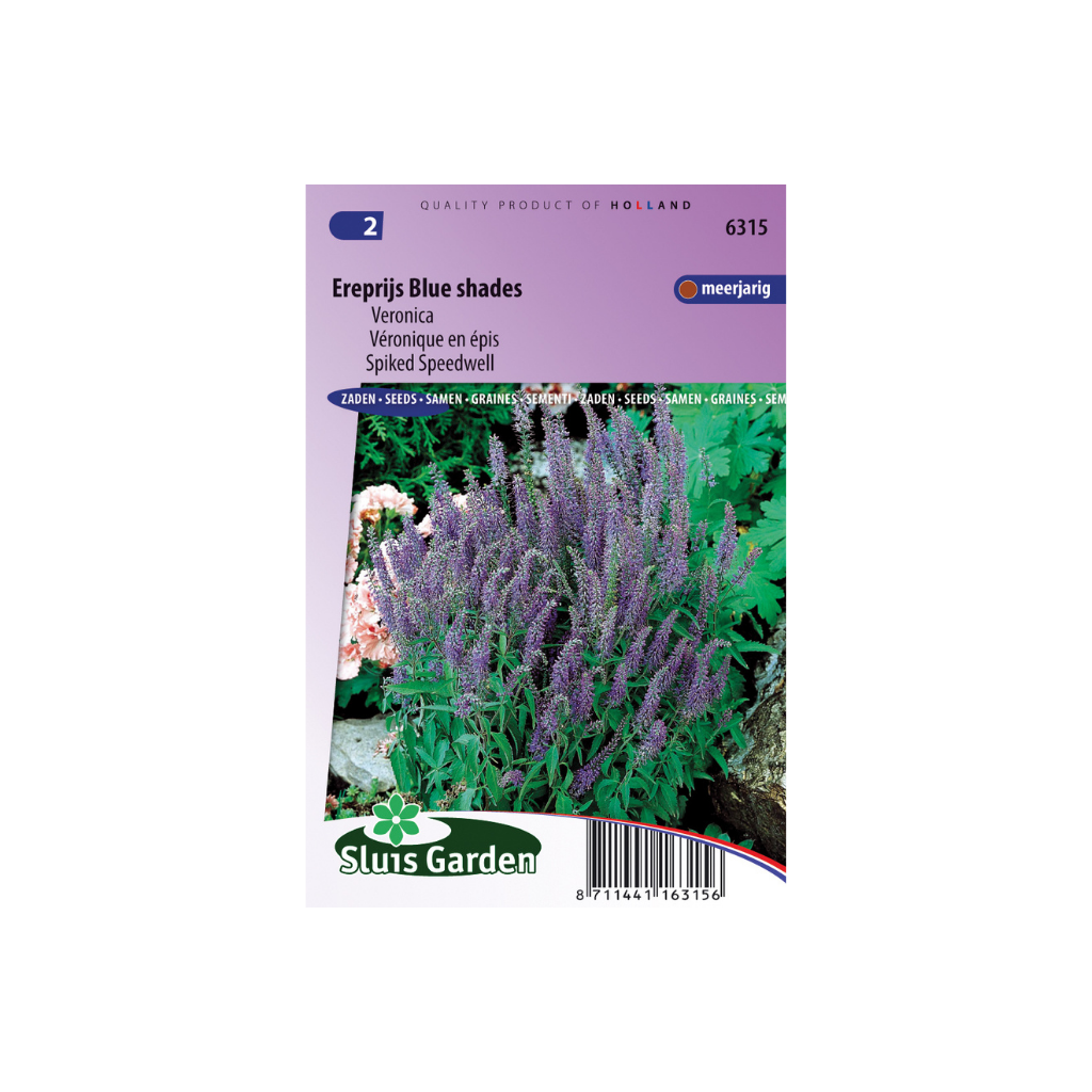 Veronica spicata blauw