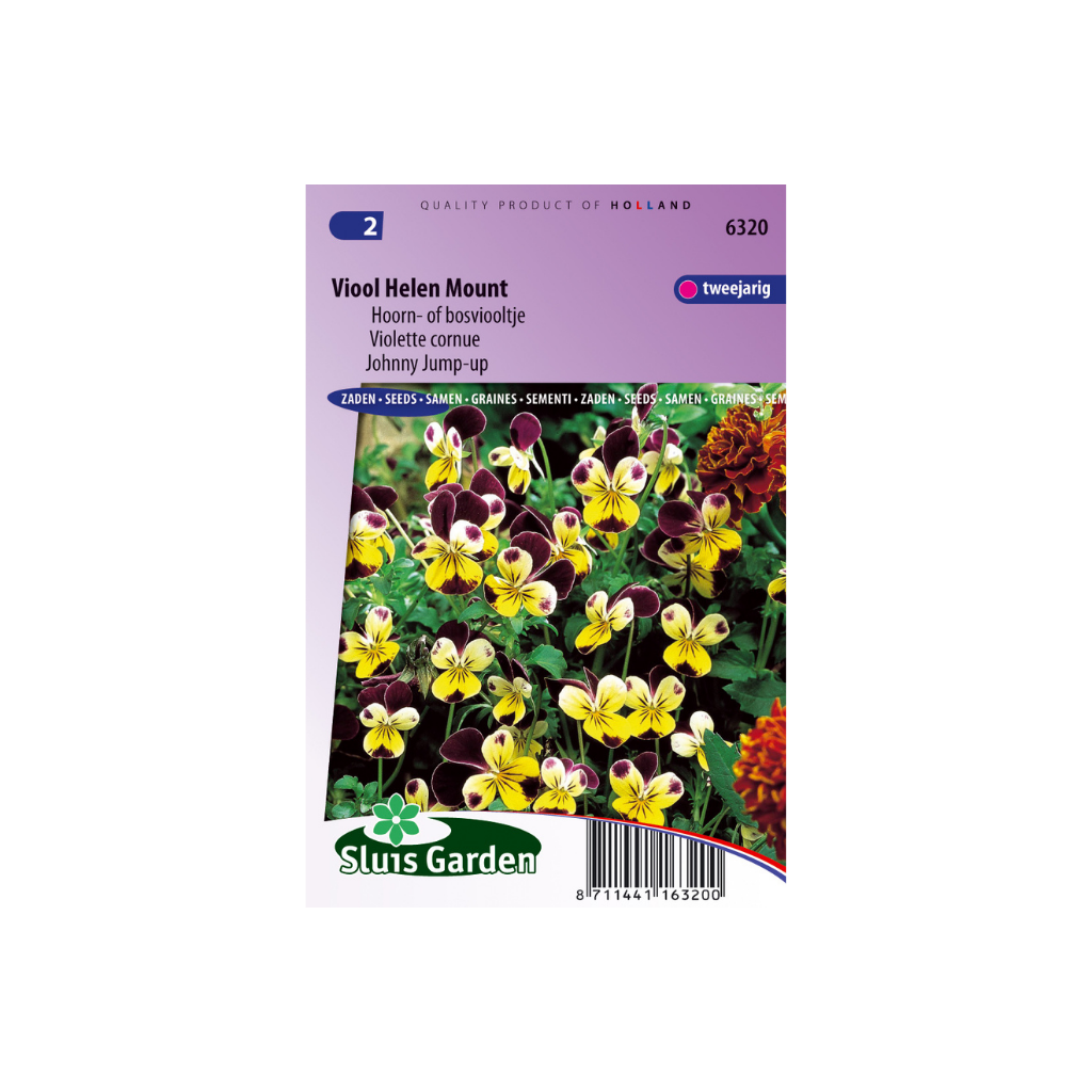 Viola cornuta Helen Mount