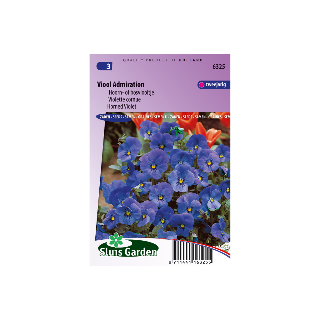 Viola cornuta Hybr. Admiration