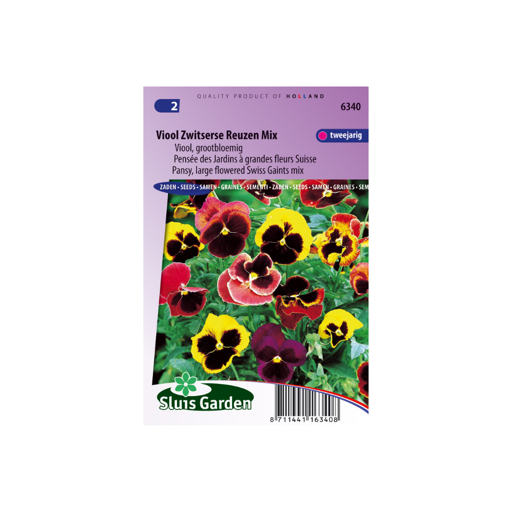 Viola Swiss Giants Choice Mixed