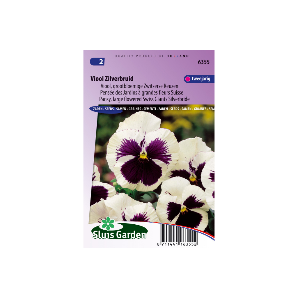 Viola Swiss Giants Silverbride
