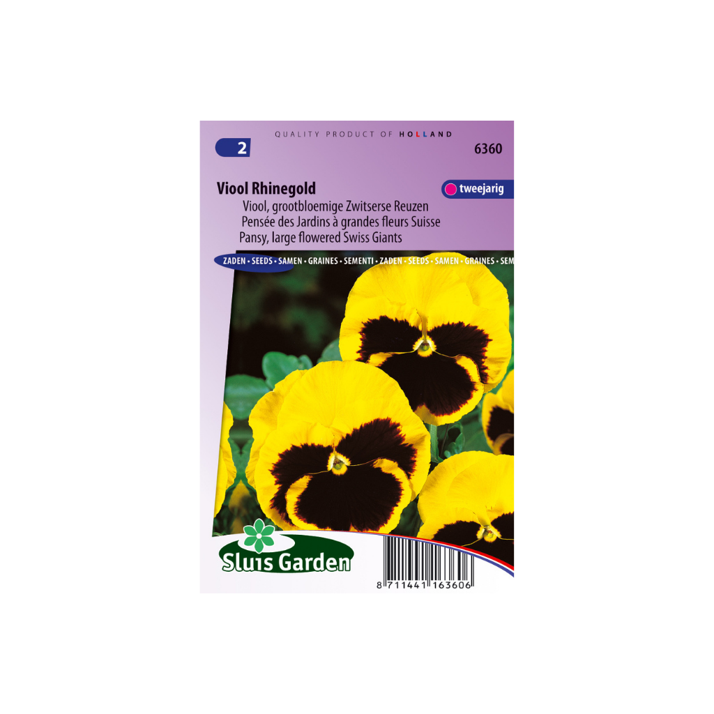 Viola Swiss Giants Rhinegold