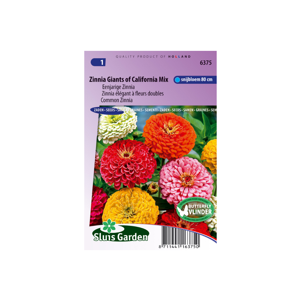 Zinnia elegans Giant of California Mix