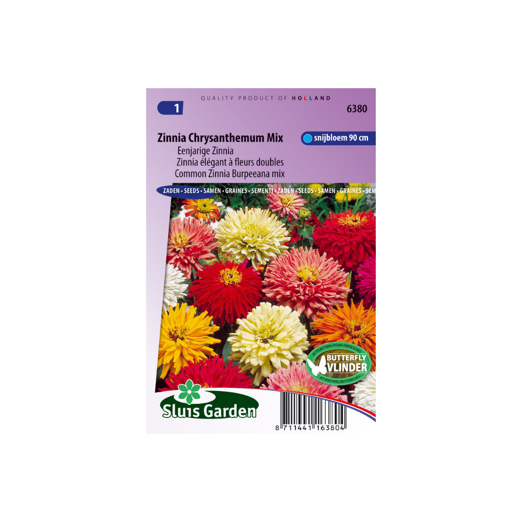 Zinnia elegans Chrysanth.fl. mix