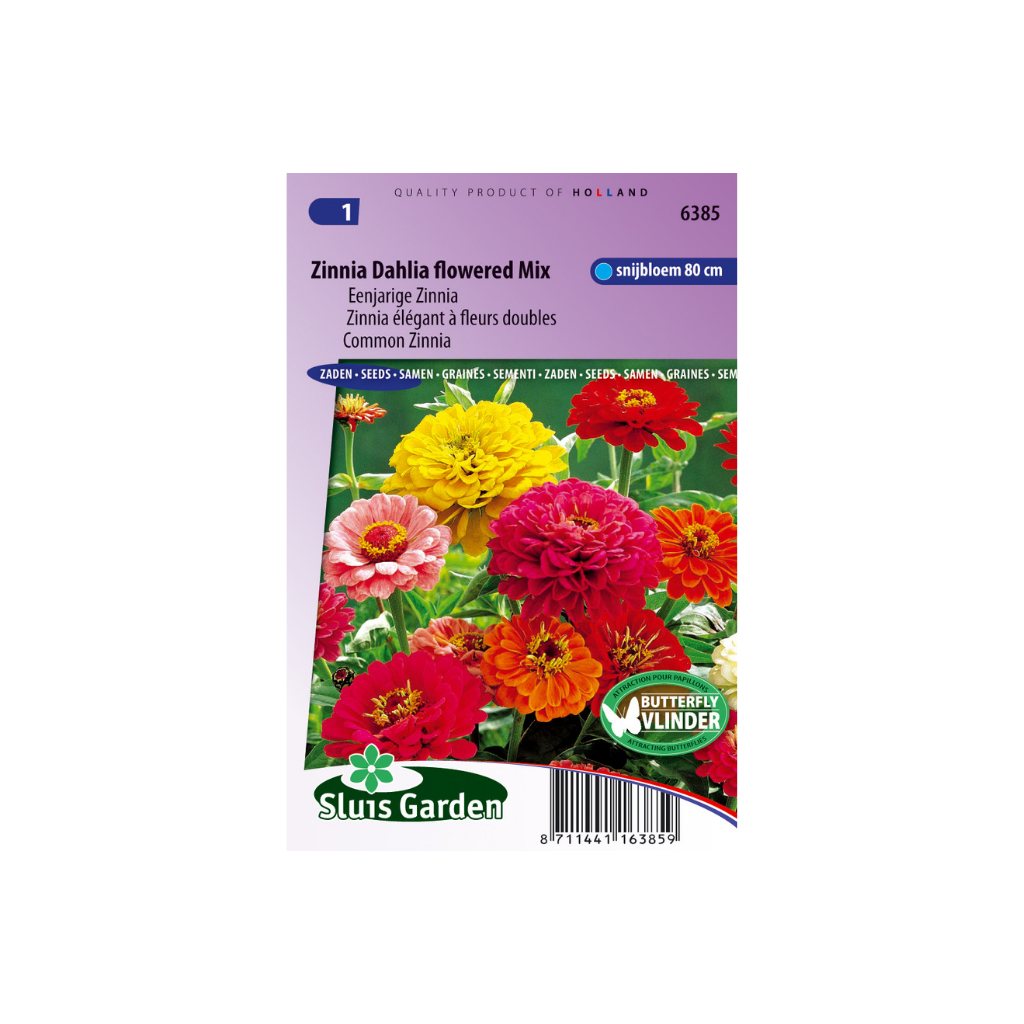 Zinnia elegans Dahliaflowered mix