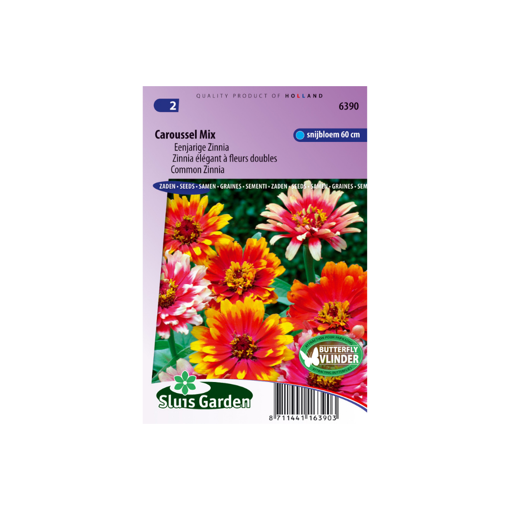 Zinnia elegans Caroussel mix