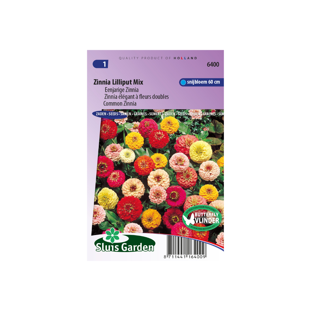 Zinnia elegans Lilliput Choice Mix