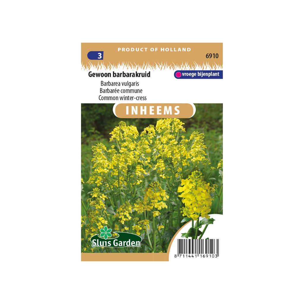Barbarea vulg. Gewoon barbarakruid