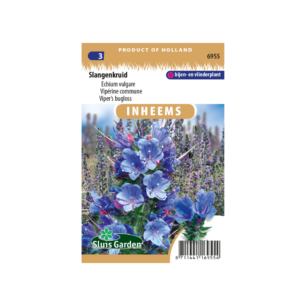 Echium vulgare Slangenkruid