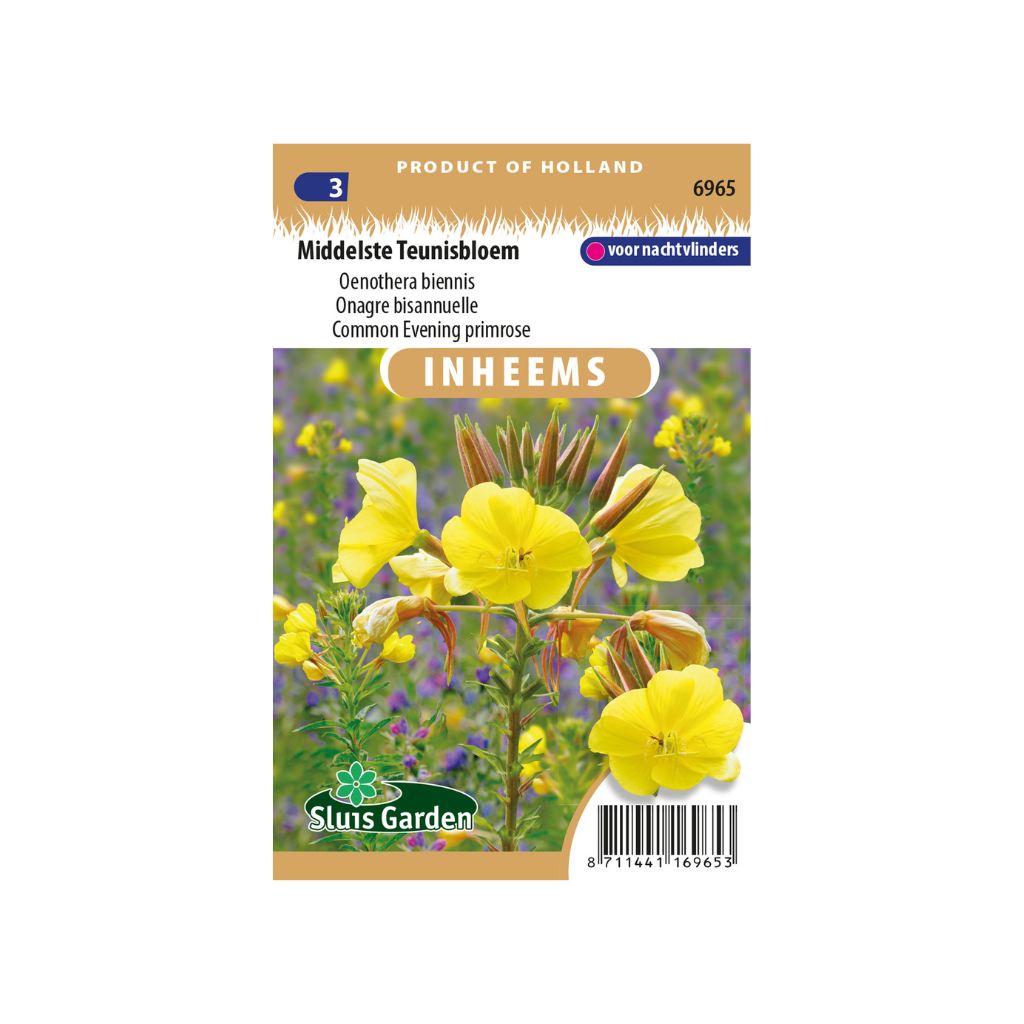 Oenothera bien. Middelste Teunisbloem