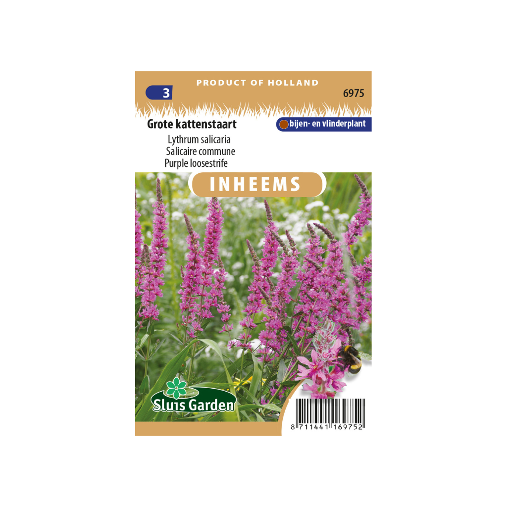 Lythrum salicaria Grote Kattenstaart