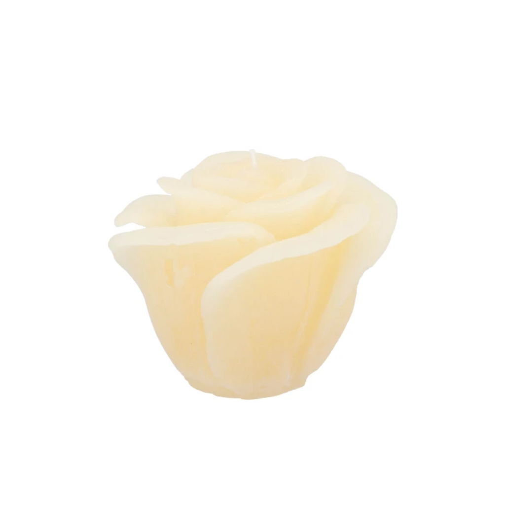 Rooskaars Ivory 11 x 9 cm