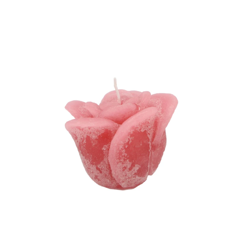 Rooskaars Blush Pink 8 x 7 cm