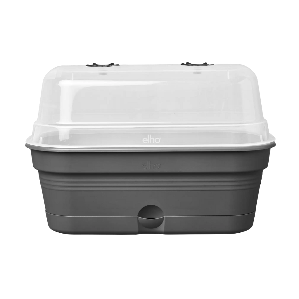 Elho Green Basics kweektray Allin1 M zwart
