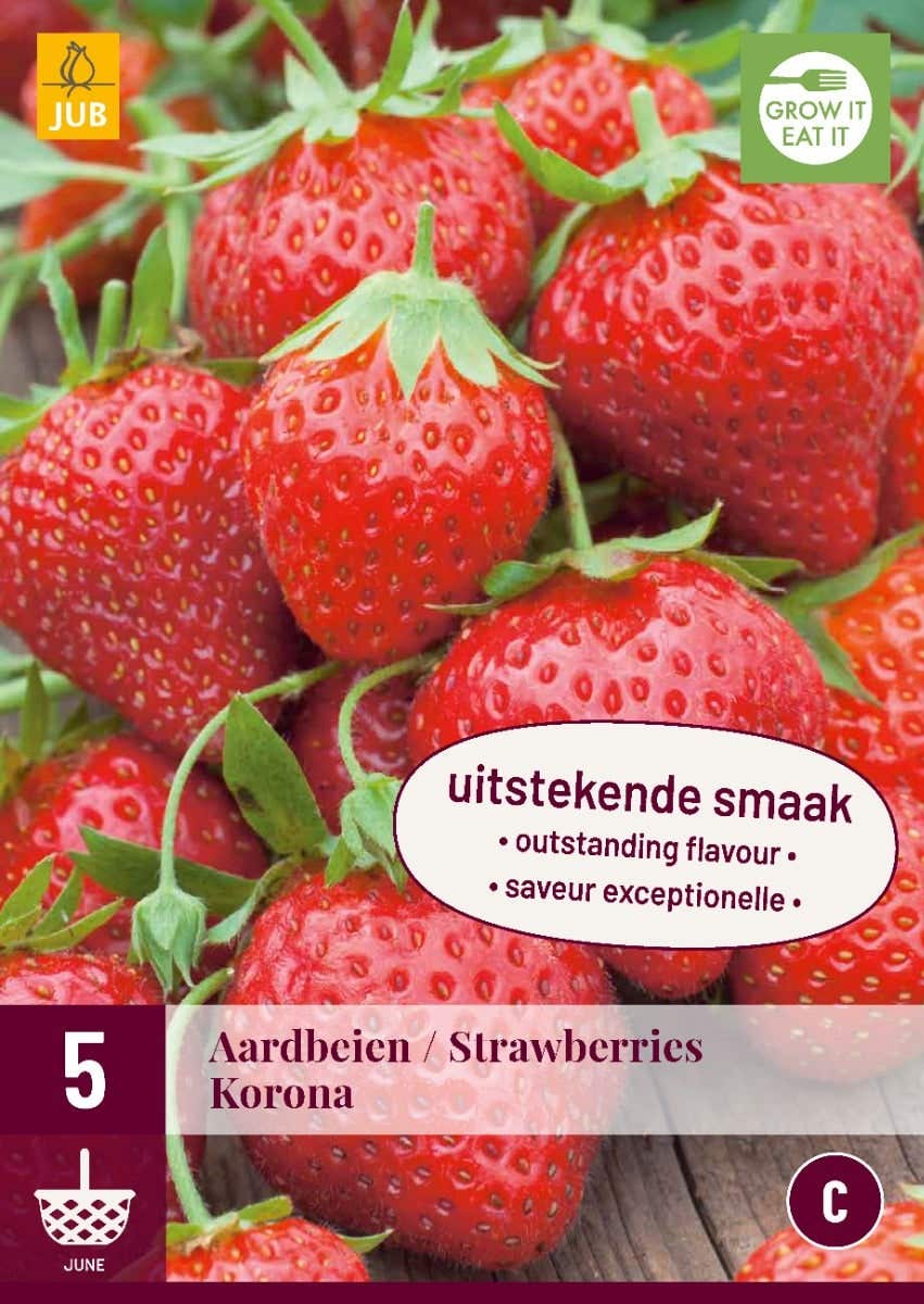 Fragaria Korona