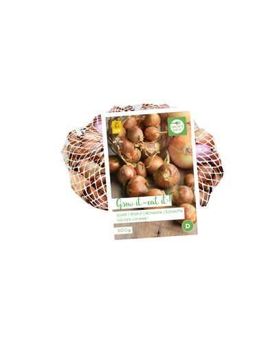 Sjalotten Golden Gourmet 500 gram