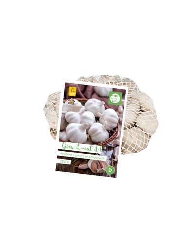 Knoflook Casablanca 250 gram